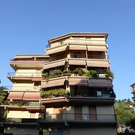 Il Pellegrino